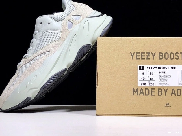 EG7487 Yeezy v2 Adidas 700 Boost Salt 1001